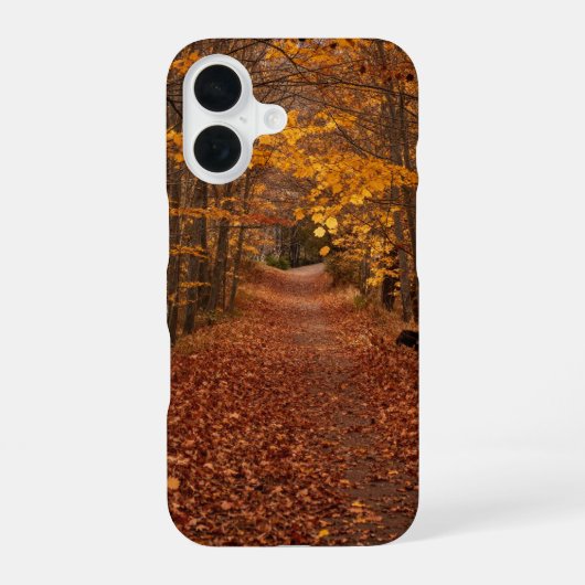 Coque iPhone 16 Autumn Leaves Path Phone Case (Verso)
