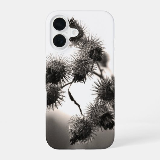 Coque iPhone 16 Bardane séchée (Verso)