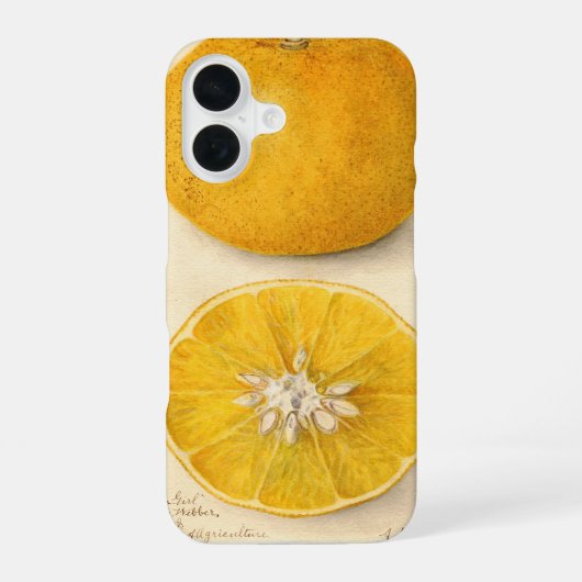 Coque iPhone 16 Belle Oeuvre Orange (Verso)