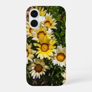 Coque iPhone 16 Belles fleurs jaunes de Gazania dans le jardin