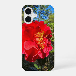 Coque iPhone 16 belles fleurs rouges de Camélia à Descanso Gardens