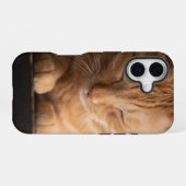 Coque iPhone 16 Boîtier Apple Iphone 16 Chat (Verso Horizontal)