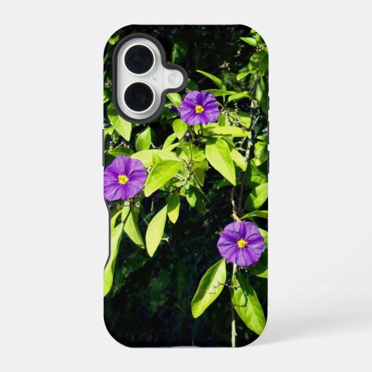 Coque iPhone 16 boîtier de style et de design pour apple iphone 16 (Verso)