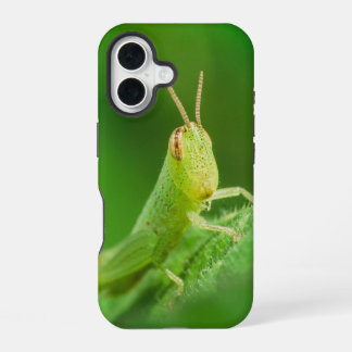 Coque iPhone 16 Boîtier pour iPhone / iPad