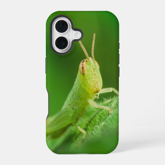 Coque iPhone 16 Boîtier pour iPhone / iPad (Verso)
