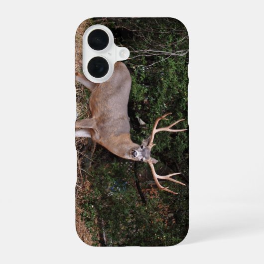 Coque iPhone 16 Boîtier téléphonique (Verso)
