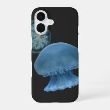 Boîtier téléphonique pour méduse