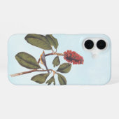 Coque iPhone 16 Bonaparte Moucherolle Canada Paruline Audubon Oise (Verso Horizontal)