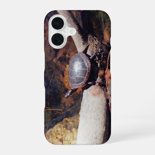 Coque iPhone 16 Bonne tortue (Verso)