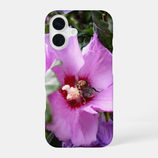 Coque iPhone 16 Bumblebebe sur la fleur d'Hibiscus (Verso)