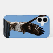 Coque iPhone 16 Buse à queue rousse avec ailes levées Photo faune (Verso Horizontal)