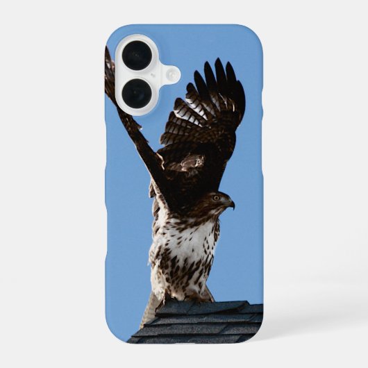 Coque iPhone 16 Buse à queue rousse avec ailes levées Photo faune (Verso)