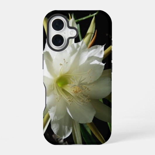 Coque iPhone 16 Cactus Bloom (Verso)