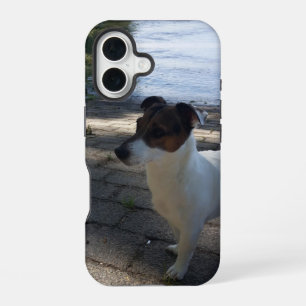 Coque iPhone 16 Capo von Oppenheim, chien Terrier Jack Russell