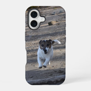 Coque iPhone 16 Capo von Oppenheim, chien Terrier Jack Russell