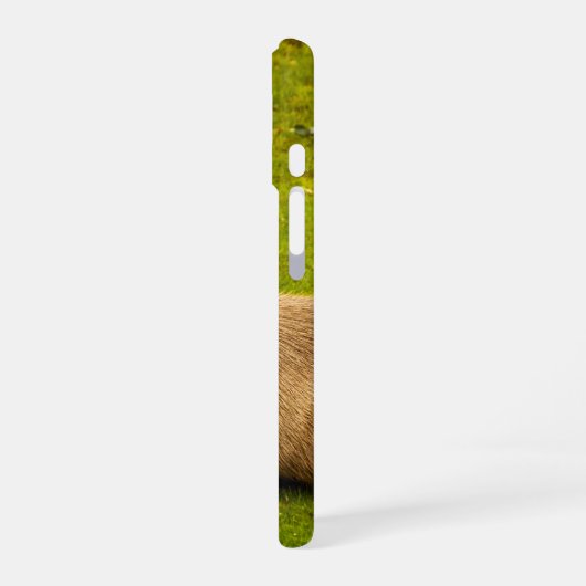 Coque iPhone 16 Capybara (Côté gauche)