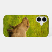 Coque iPhone 16 Capybara (Verso Horizontal)