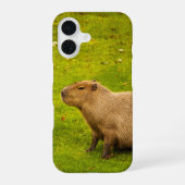 Coque iPhone 16 Capybara (Verso)
