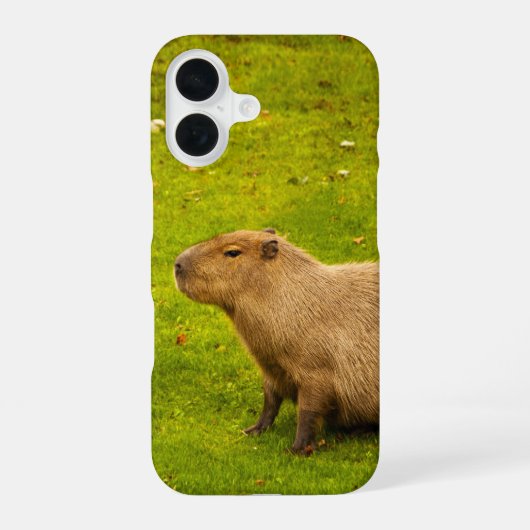 Coque iPhone 16 Capybara (Verso)