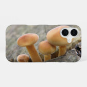 Coque iPhone 16 Champignons sur un tronc d'arbre (Verso Horizontal)