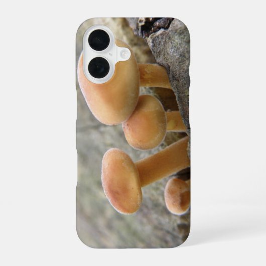 Coque iPhone 16 Champignons sur un tronc d'arbre (Verso)