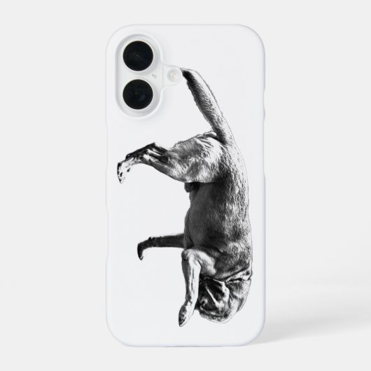 Coque iPhone 16 Charme photographique (Verso)