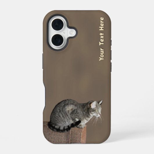 Coque iPhone 16 Chat tigré gris fumeux (Verso)