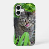 Coque iPhone 16 Chat tigré mignon baiser (Verso)