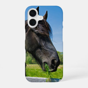 Coque iPhone 16 Cheval frison noir