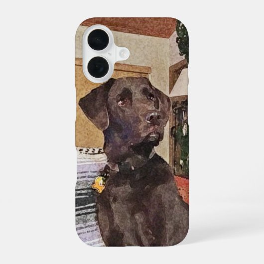 Coque iPhone 16 Chocolat Labrador (Verso)