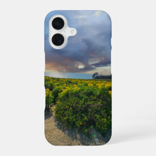 Coque iPhone 16 Ciel dramatique au coucher du soleil à Point Dume