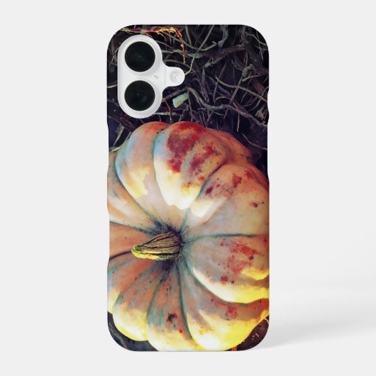 Coque iPhone 16 Citrouille Rustique (Verso)