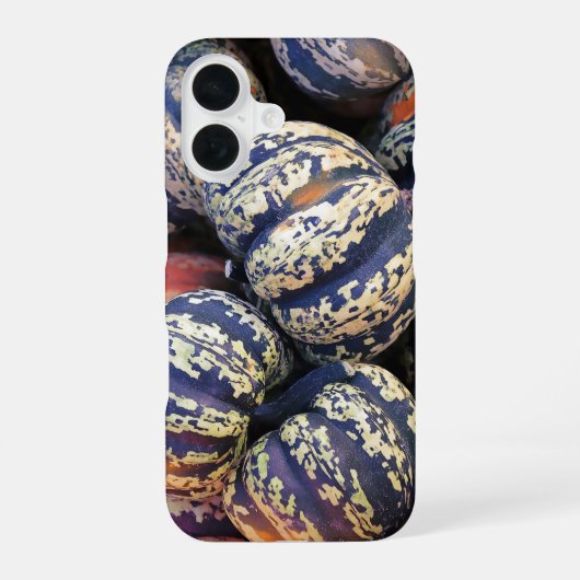 Coque iPhone 16 Citrouilles rayées rustiques (Verso)