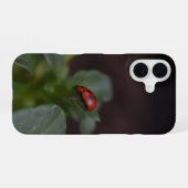 Coque iPhone 16 Coccinelle sur fleurs (Verso Horizontal)