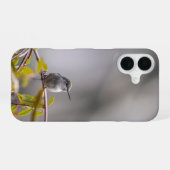 Coque iPhone 16 Colibri 3346 (Verso Horizontal)