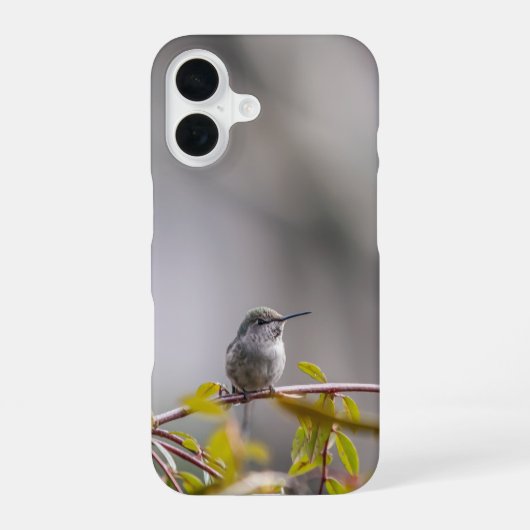 Coque iPhone 16 Colibri 3346 (Verso)