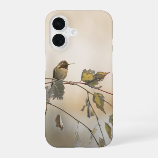 Coque iPhone 16 Colibri 5265 (Verso)