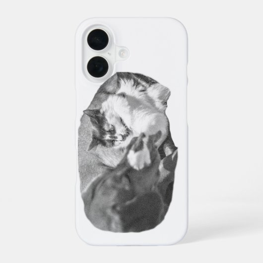 Coque iPhone 16 Compagnons de porche ombragés (Verso)