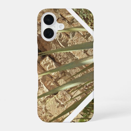 Coque iPhone 16 Cool (Verso)