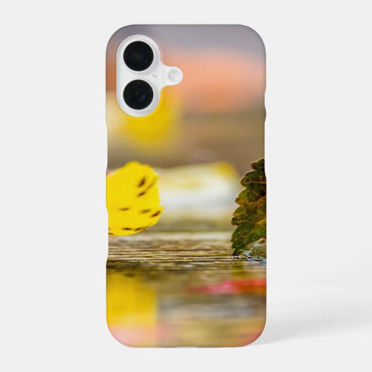 Coque iPhone 16 Couleurs d'automne (Verso)