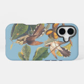 Coque iPhone 16 Coulicou à bec jaune d'Audubon (Verso Horizontal)