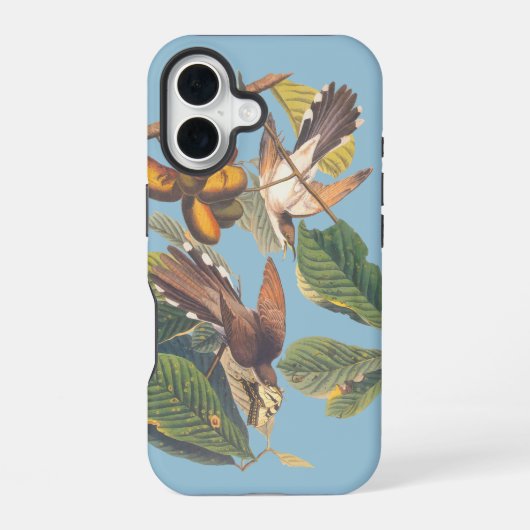Coque iPhone 16 Coulicou à bec jaune d'Audubon (Verso)