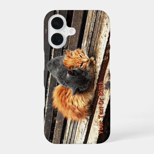 Coque iPhone 16 Cuisses Catnap (Verso)
