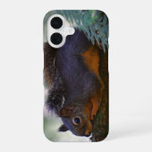 Coque iPhone 16 Cute Little Douglas Squirrel Photo Faune (Verso)