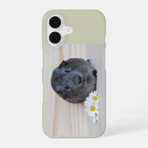 Coque iPhone 16 Cute Smooth, Argent Agouti Guinée Pig et marguerit