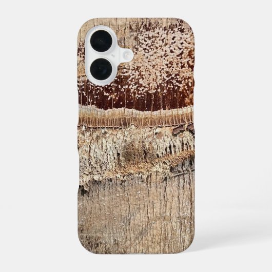 Coque iPhone 16 Date Palm Tree Trunk Texture Fermer Photo Image (Verso)