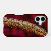 Coque iPhone 16 Dew du matin (Verso Horizontal)