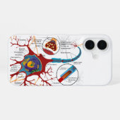 Coque iPhone 16 Diagramme Neurone Complet Cellule Nerf Système Ner (Verso Horizontal)