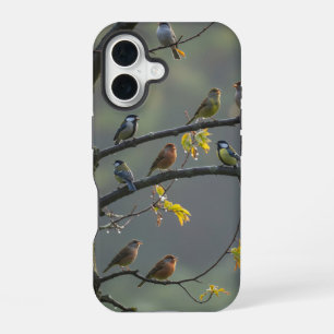 Coque iPhone 16 Divers oiseaux perchés sur des branches d'arbres