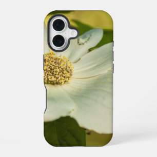 Coque iPhone 16 Dogwood